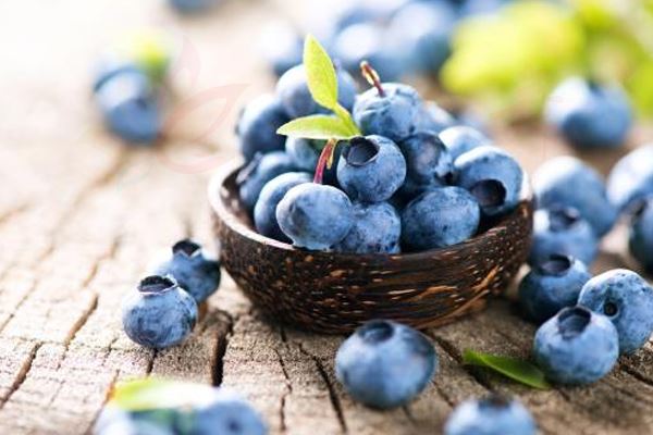在国内蓝莓产区 哪里是鉴别这些区域的最