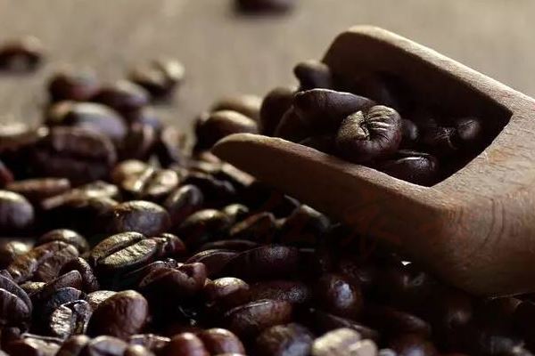 咖啡豆有哪些品种？哪一个最好？