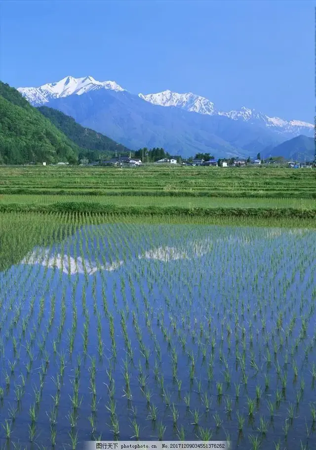 北大荒的秋天(北大荒的秋天美在哪里)插图1