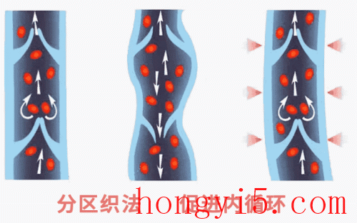 霍思燕减肥方法(霍思燕减肥方法红豆薏米水)插图36