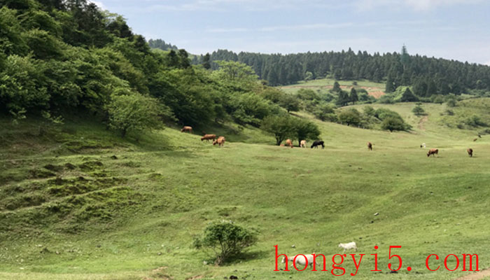 仙女山在重庆哪里