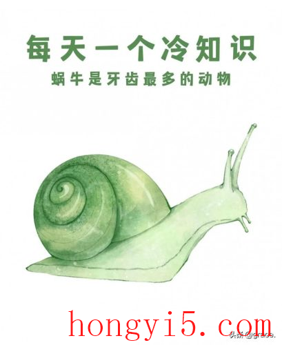 蜗牛有多少颗牙齿(蜗牛有牙齿吗有多少颗牙齿)插图