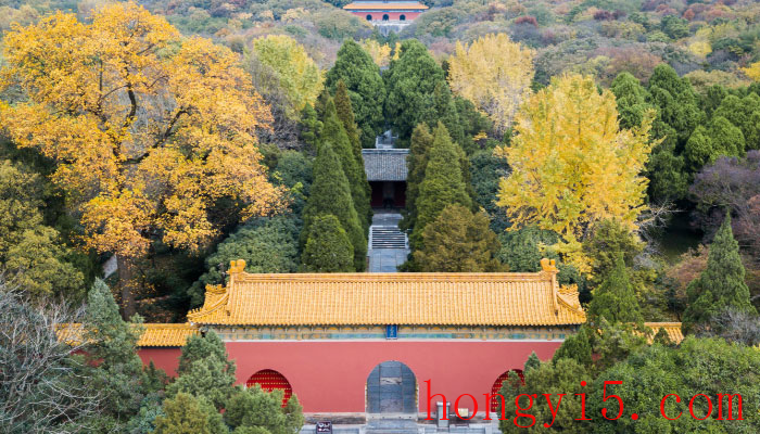 南京旅游攻略景点必去 南京旅游必去的景