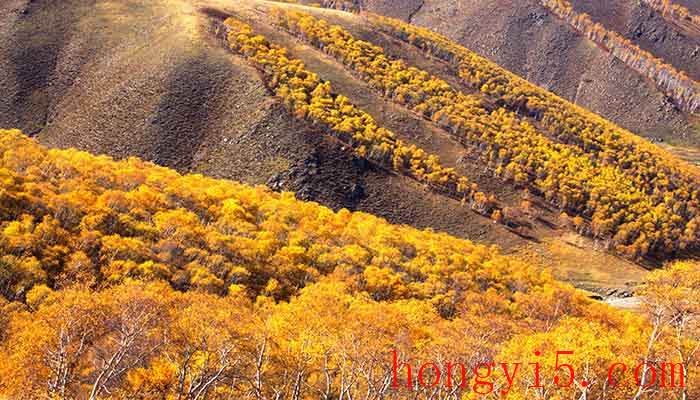 黄花沟旅游景区在哪里 黄花沟在哪里