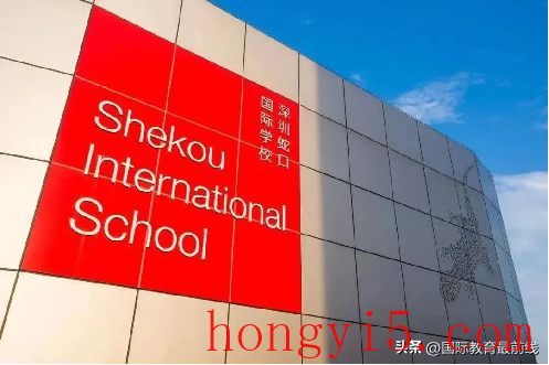 深圳的国际学校(深圳的国际学校有哪些)插图3