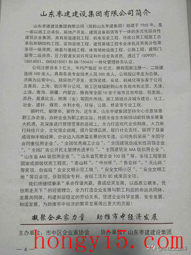 枣庄非公企业排名前十(枣庄非公企业)插图3