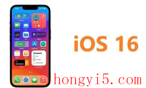 ios16抠图可以放到哪里3