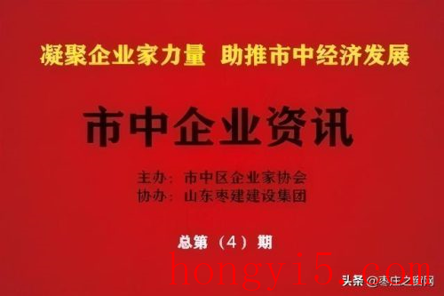 枣庄非公企业排名前十(枣庄非公企业)插图