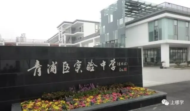 阳浦初中排名前十(上海阳浦小学地址)插图8