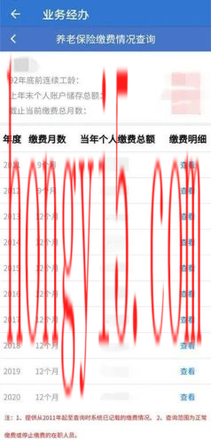 查询个人养老保险(12333查询个人账户)插图2