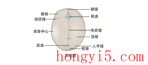 痉挛怎么读(齉龘齉齾爩麤龗灪龖屭绻虋怎么读)插图11