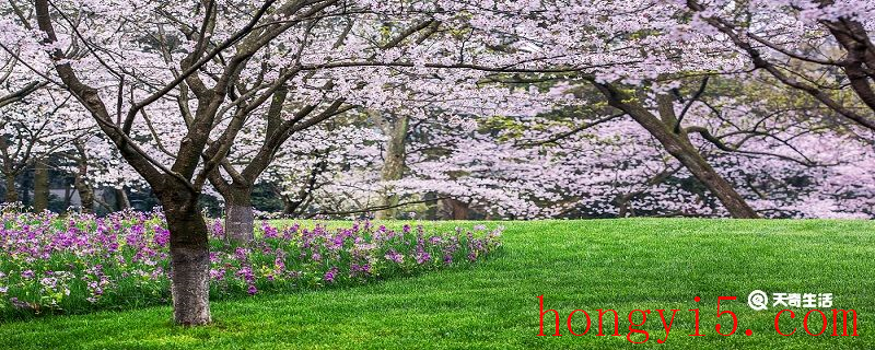 湖州市春季赏花去哪里