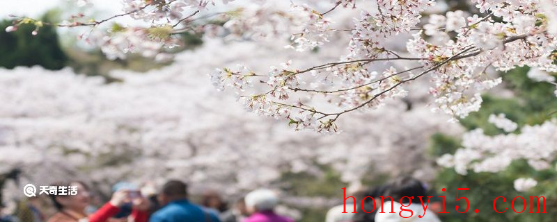 淄博市春季赏花去哪里