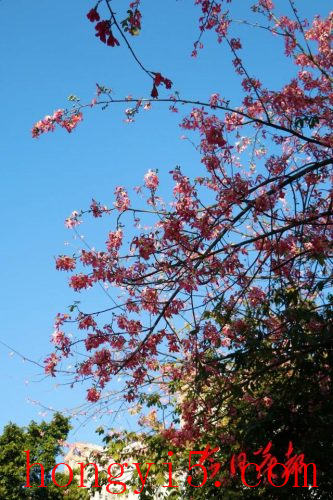 花都冬季景点排名前十(花都免费景点排名前十)插图7