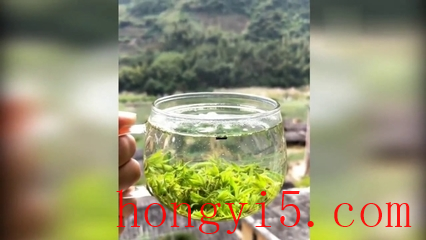 桑叶茶十大品牌排行榜(桑叶茶品牌排行榜桑叶茶十大品牌)插图1