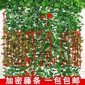 十大神秘植物排行榜(植物染发剂十大品牌排行榜)插图