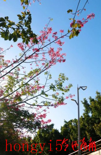 花都冬季景点排名前十(花都免费景点排名前十)插图4