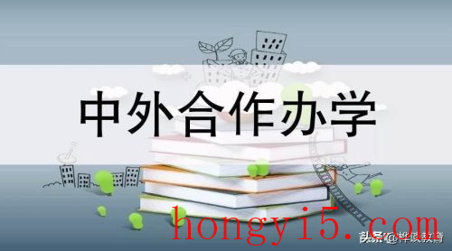 中外合作办学是什么(中外合作办学意味着什么)插图1