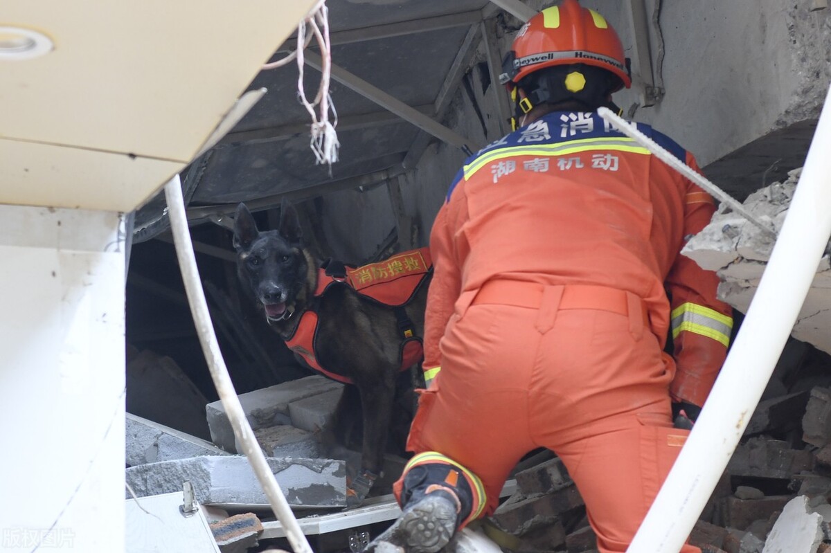 长沙房屋倒塌致53人遇难，警示各城市房地产的未来走向