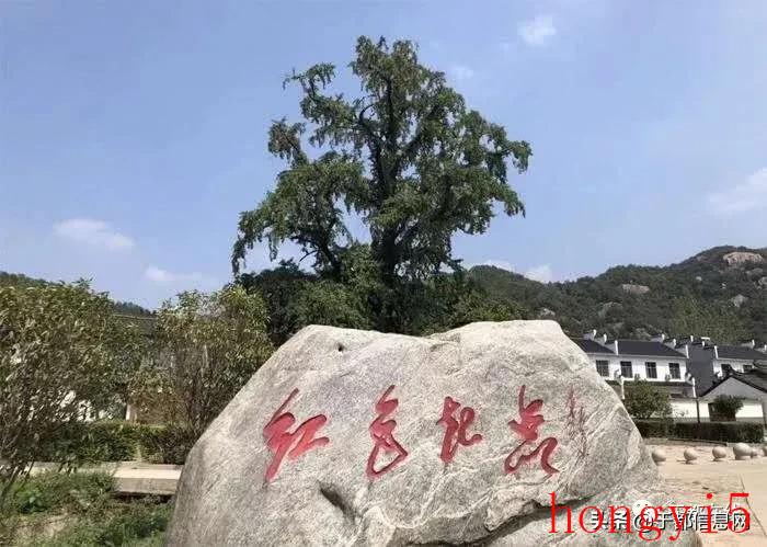 长征主力部队的出发地（历史上长征出发地在哪里）(图3)