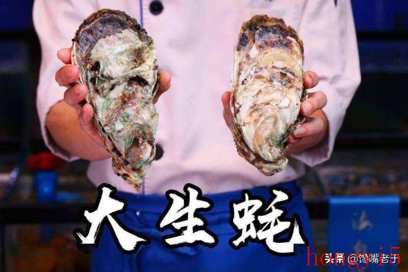 生蚝和牡蛎的区别在哪里（生蚝和牡蛎的区别图解）(图3)