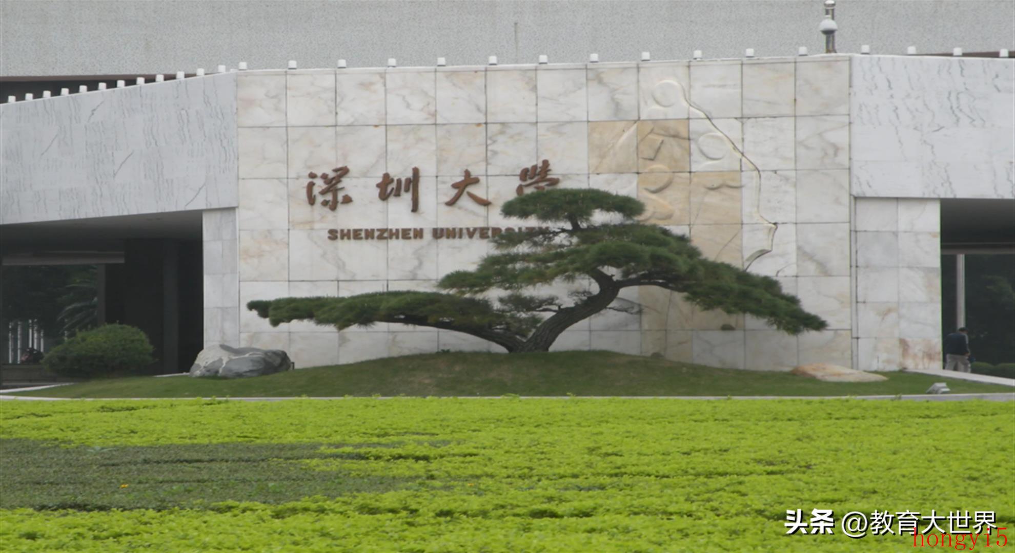 深圳大学为何发展这么快（深圳大学为什么这么火发展快）(图1)