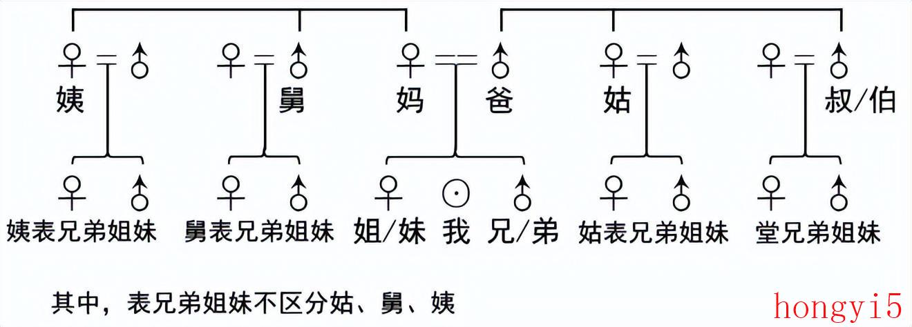 堂兄弟表兄弟怎么区分（表哥和堂哥怎么分）(图3)