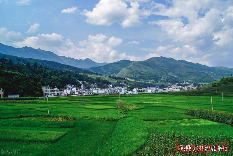 贵州省夏天适合避暑的地方（贵州海拔高度是多少）(图5)