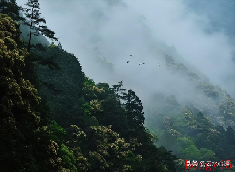 新凉表达了诗人怎样的情感（新凉古诗意思翻译）(图3)