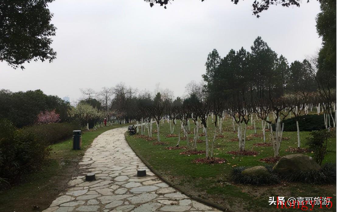 广东省梅州市丰顺县旅游景点（丰顺旅游必去十大景点）(图7)