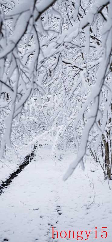 描写冬天和雪的诗句（雪压冬云白絮飞类似的诗词）(图2)