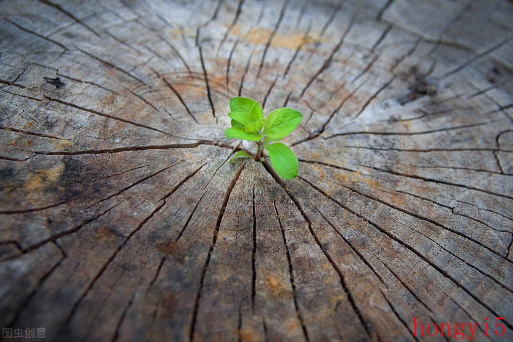 余华《活着》中徐福贵的人物形象分析（余华活着简介主要内容概括）(图5)