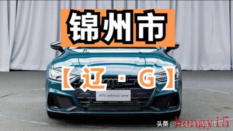 辽宁车牌号字母排序辽R（辽g是哪里的车牌号）(图8)