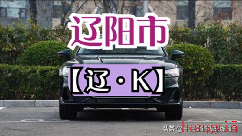 辽宁车牌号字母排序辽R（辽g是哪里的车牌号）(图11)