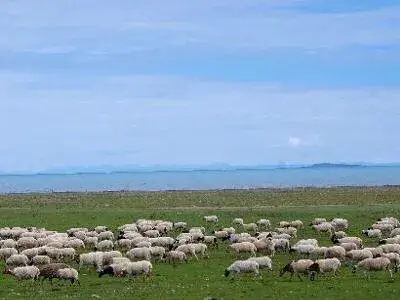 我国最大的内陆咸水湖是青海湖吗（青海湖是中国最大的什么湖）(图6)