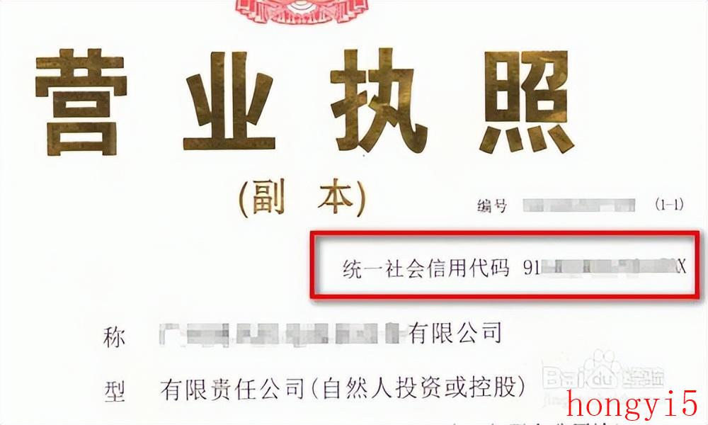 查询企业统一社会信用代码（一个公司社