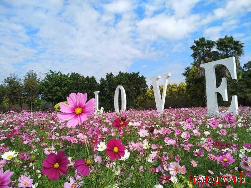 广州市花都好玩的景点推荐（花都有什么好玩的地方推荐）(图4)