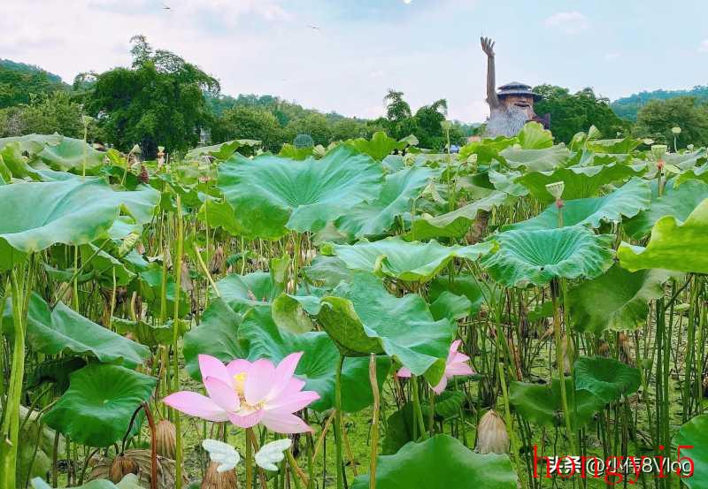 广州市花都好玩的景点推荐（花都有什么好玩的地方推荐）(图6)