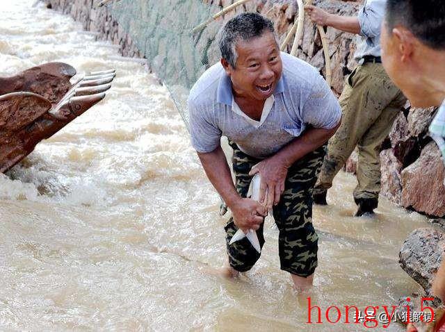 洪水过后的活鱼可不可以吃（洪水过后河里捞的鱼能吃吗）(图3)