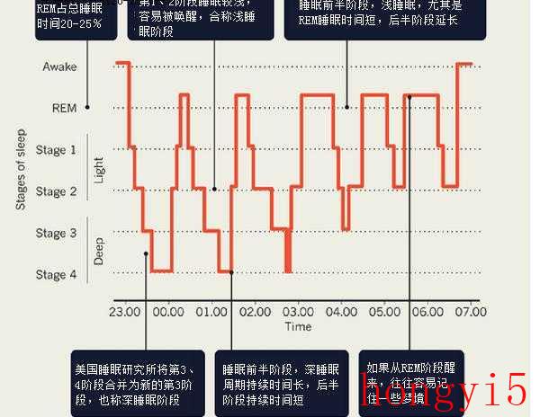 成人一天睡多长时间最好（每天深睡眠多久是正常情况）(图5)