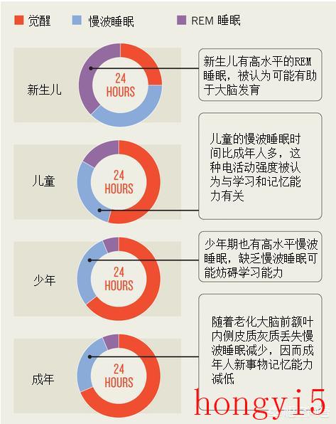 成人一天睡多长时间最好（每天深睡眠多久是正常情况）(图6)