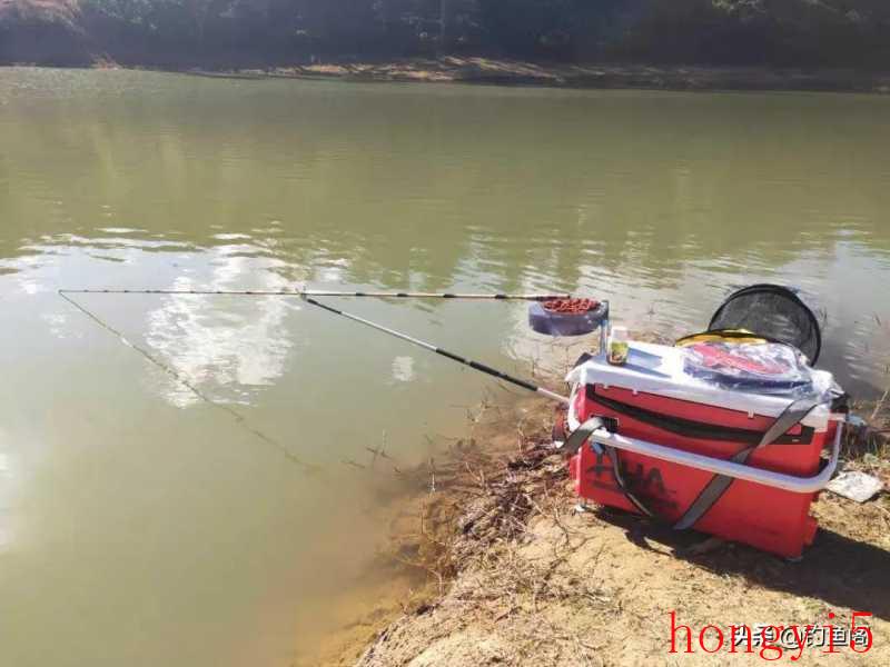 钓白条怎么上饵（小白条钓法技巧野钓）(图2)