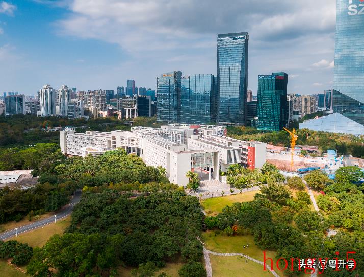 深圳大学是211大学还是985大学-（深圳大学是几本大学）(图1)