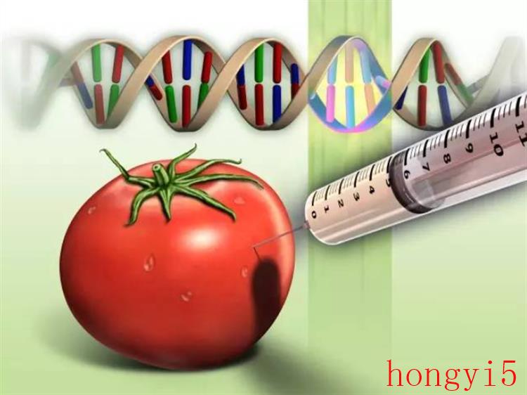 植物的遗传密码可以更改吗-（植物的遗传密码可以修改吗）(图3)