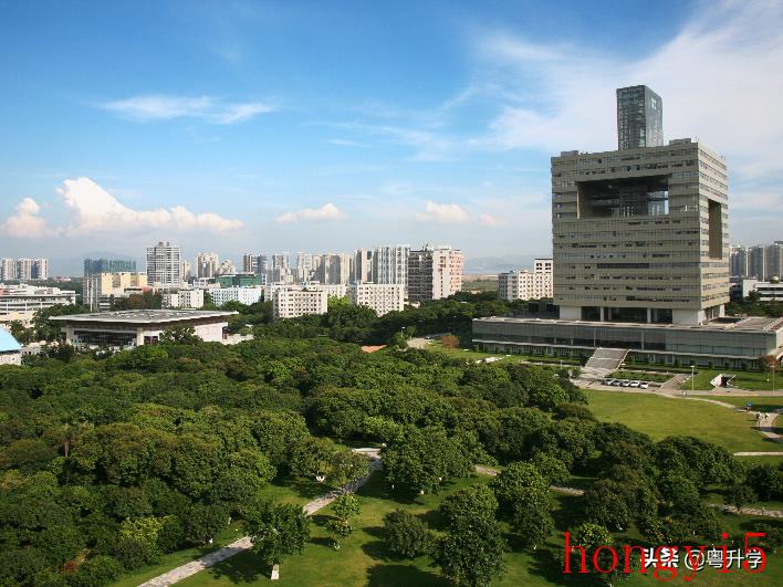 深圳大学是211大学还是985大学-（深圳大学是几本大学）(图2)