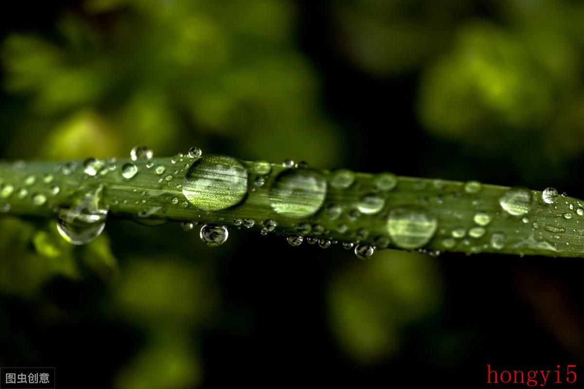 春夜喜雨中表达对春雨的赞美的句子是（杜甫春夜喜雨的意思翻译）(图3)