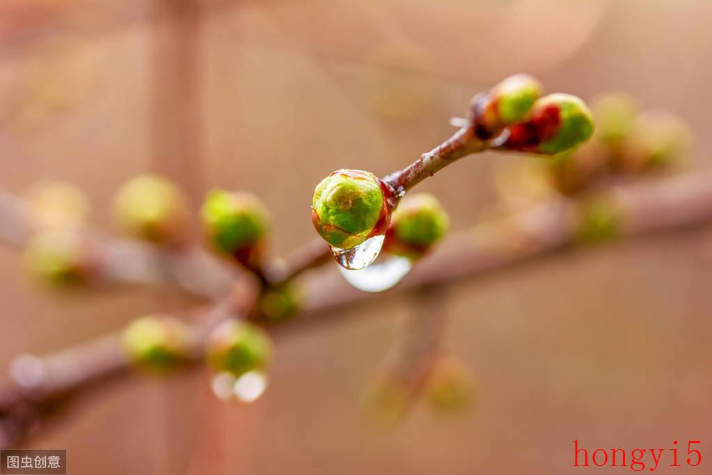 春夜喜雨中表达对春雨的赞美的句子是（杜甫春夜喜雨的意思翻译）(图2)