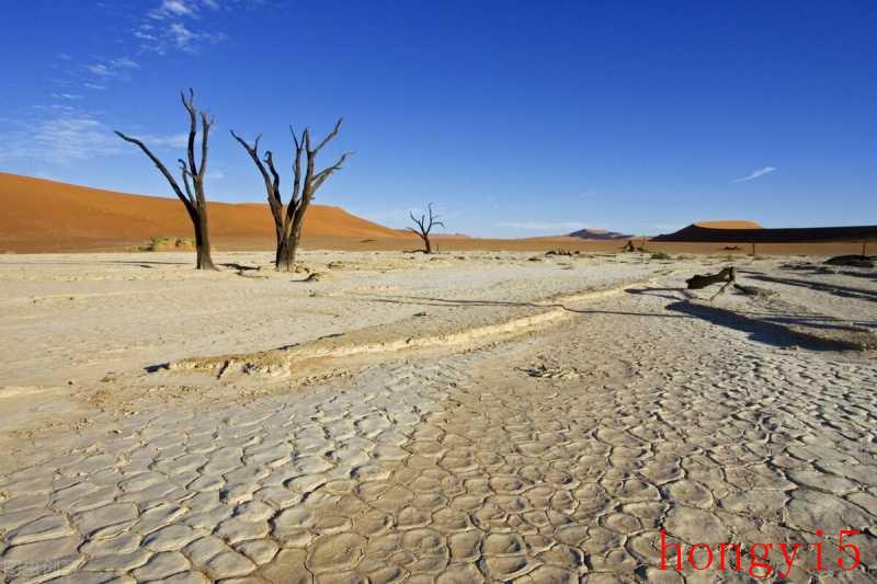 塔克拉玛干沙漠有可能变成绿洲吗（中国最大的沙漠）(图4)