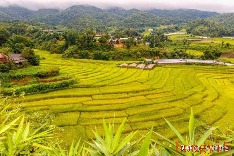 最大的半岛是阿拉伯半岛吗（世界上最大的半岛是什么岛）(图7)