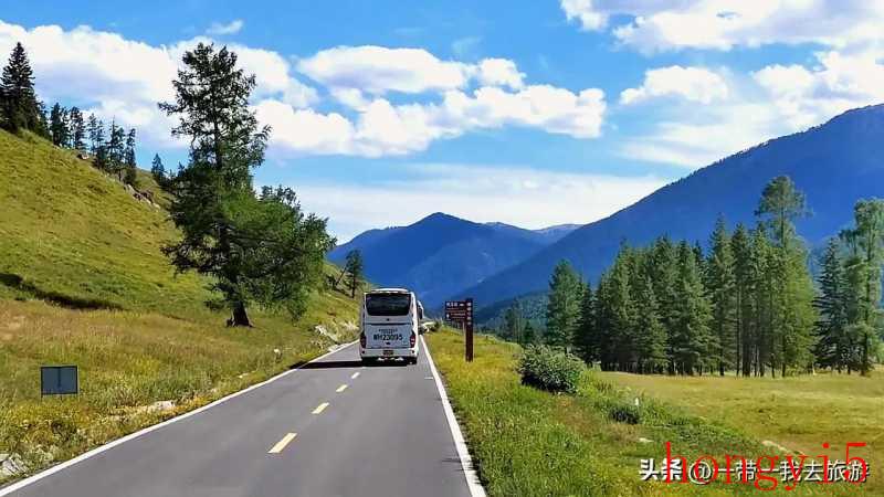 新疆喀纳斯湖景区（新疆喀纳斯湖最佳旅游时间）(图13)